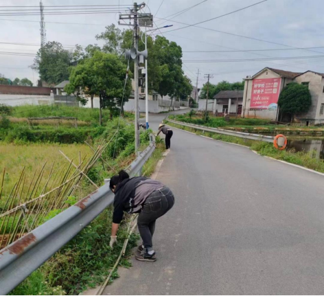 白鹭湖村：整治人居环境 打造和美乡村