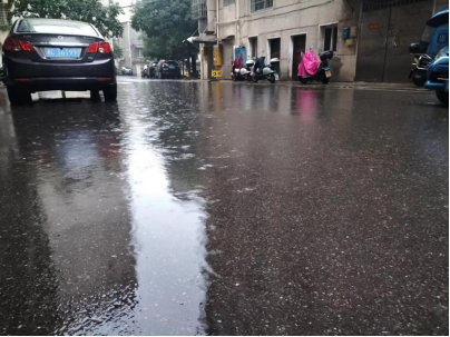 云塘街道：人大代表进区块 为民办实事