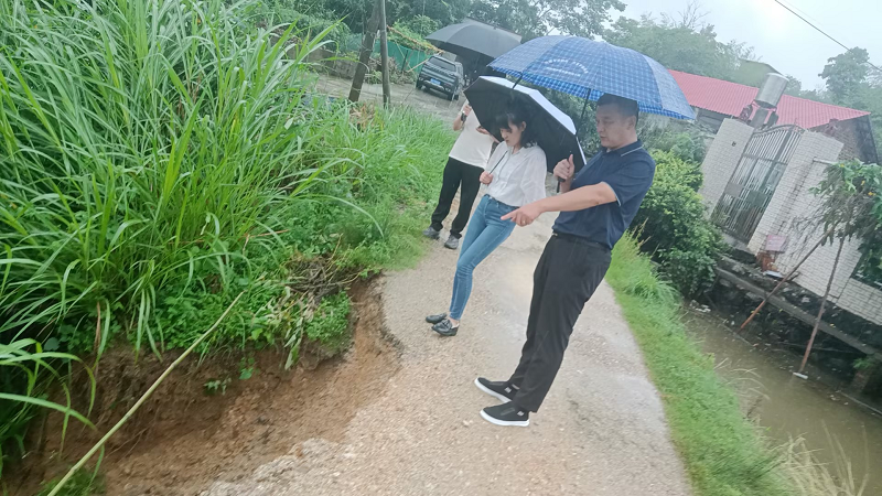 【防汛进行时】鹤岭镇：全力以赴战风雨，撑起汛期安全“保护伞”