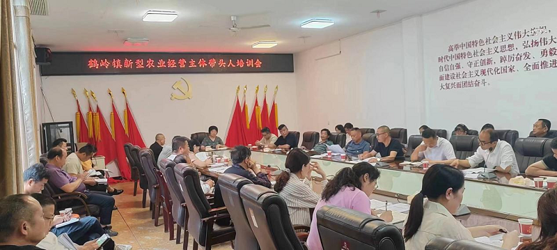 【乡村振兴】鹤岭镇：开展新农民实事培训，为乡村振兴增添活力