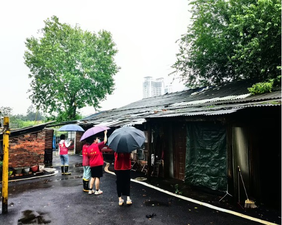 闻“雨”而动 “逆雨”而行 万楼街道居民议事员奋战防汛第一线
