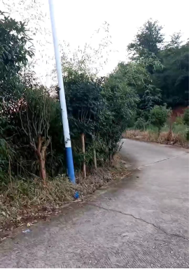 【心连心走基层、面对面解难题】响水乡：人大代表迅速响应，解决道路安全隐患获赞誉
