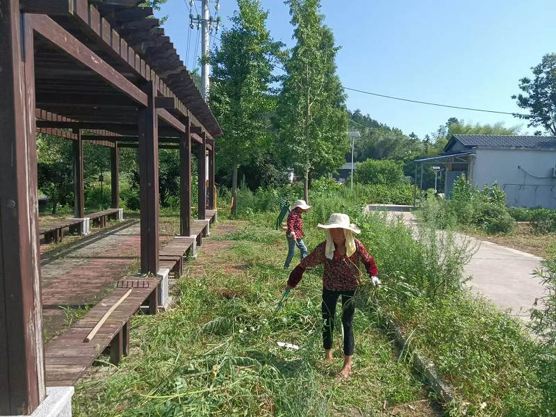 鹤岭镇：各村积极行动，守护美丽屋场创建成果