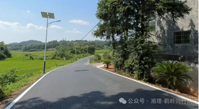鹤岭村：共建鹤岭新村 擘画振兴蓝图