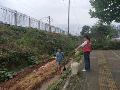 【平安雨湖】云塘街道：巡逻铸就平安盾，和谐社区共筑梦
