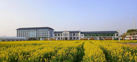 携手共建美丽青亭村，人居环境提档升级在行动