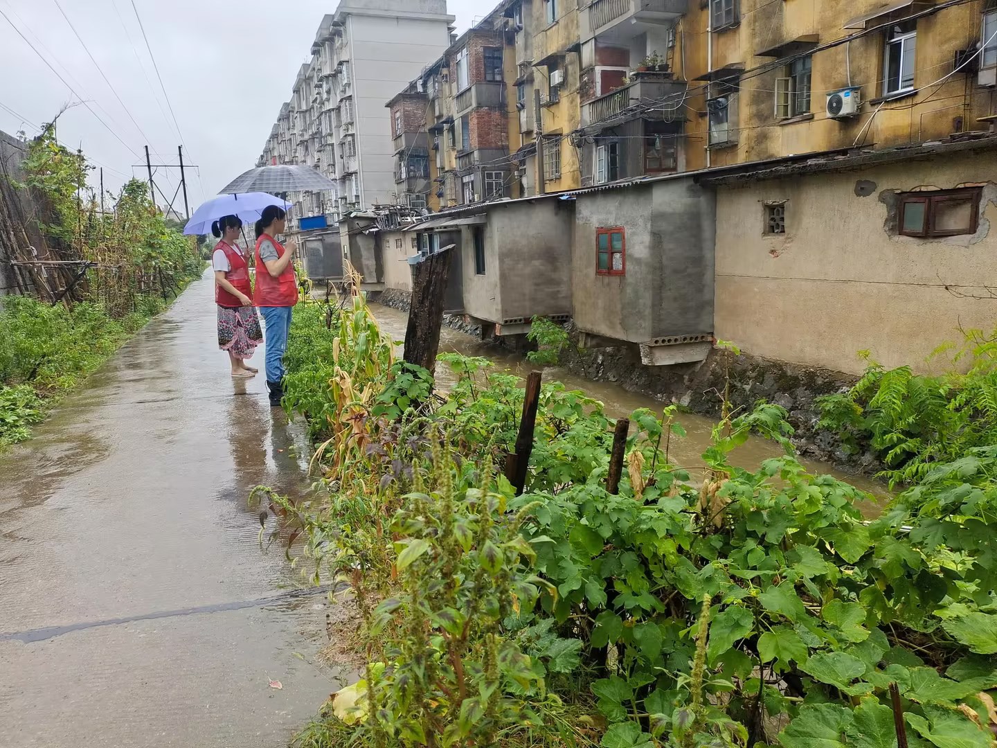 楠竹山镇：以“迅”应“汛” ，共护家园