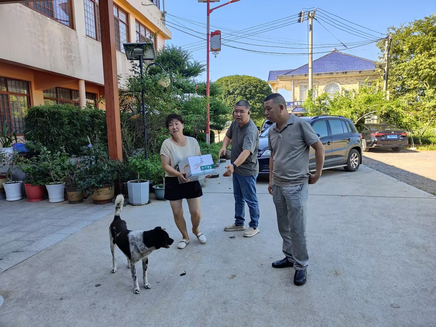 区农业农村局：指导畜禽水产养殖行业灾后生产