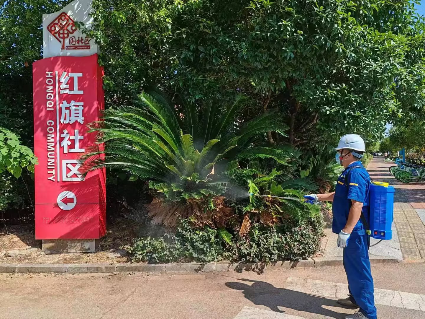 雨湖区卫健局：打出病媒消杀“组合拳”，撑起全民健康“保护伞”