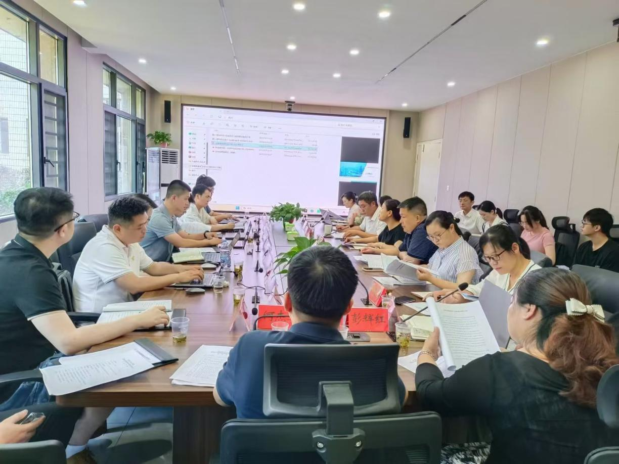 雨湖区全生命周期数智化健康体系建设研讨会召开