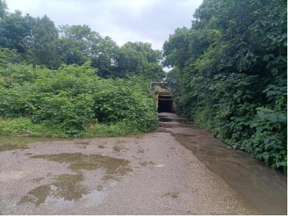富强社区：消除涵洞隐患，践行民呼我应