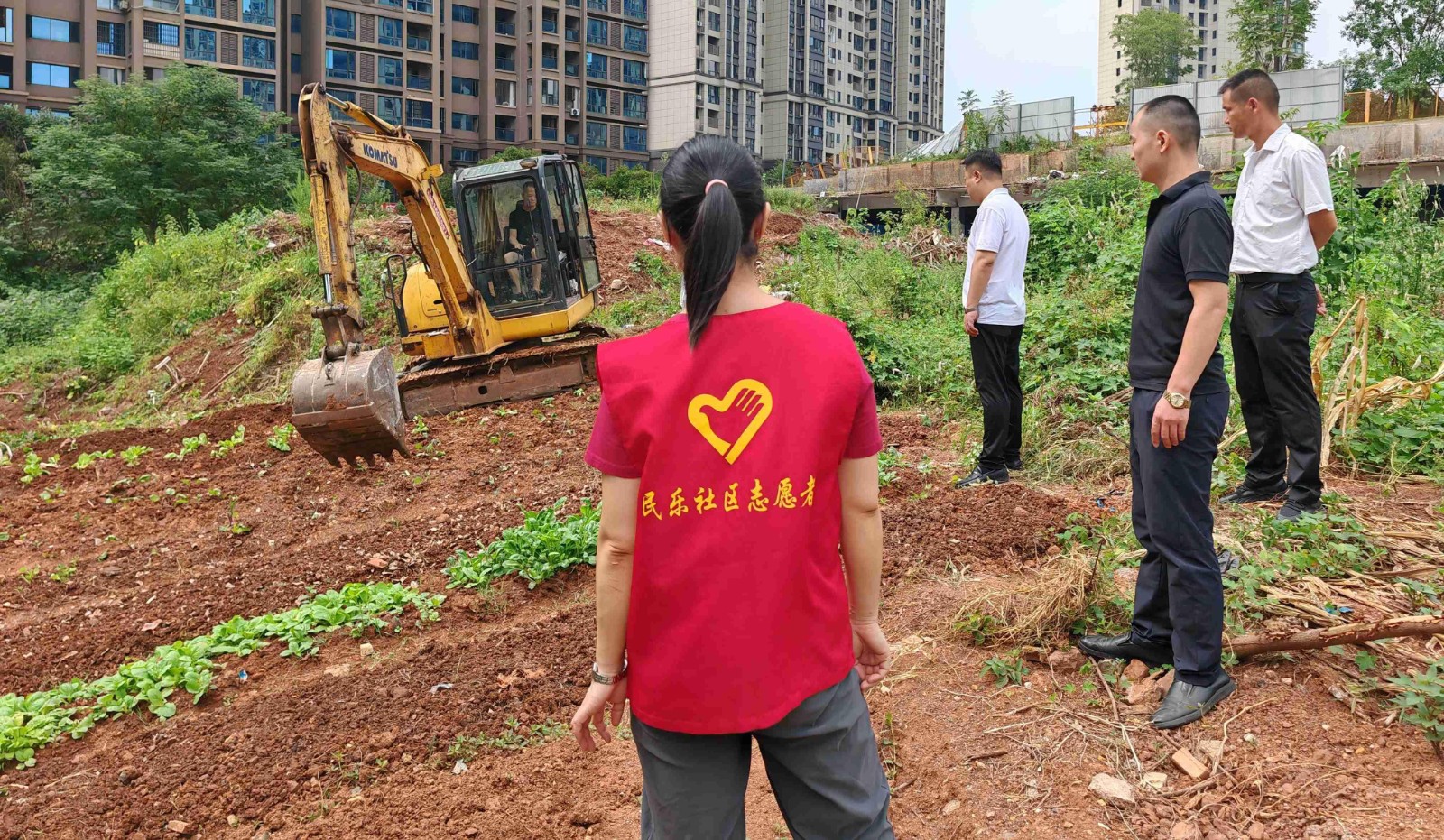 民乐社区：清理违规菜地 优化居住环境
