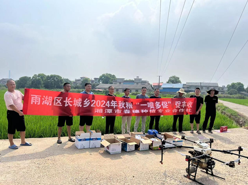 长城乡积极实施“一喷多促”，助力水稻丰收