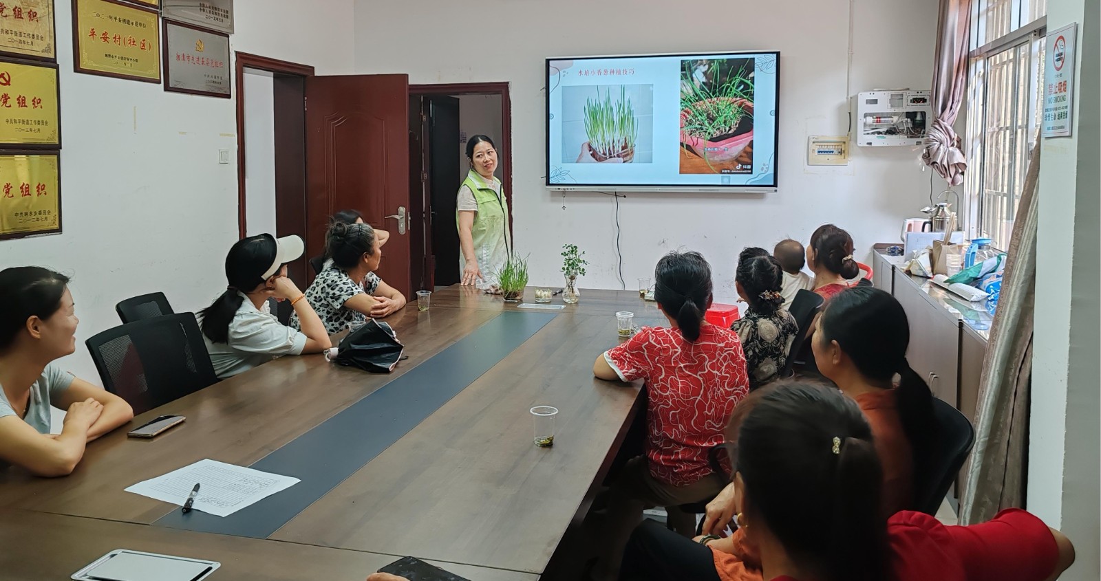 吉利社区：开展“小阳台大智慧”阳台蔬菜种植活动