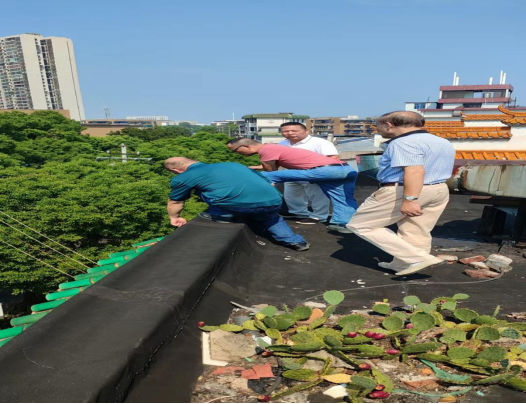 杉树巷社区：区块治理与居民自治相结合，消除重大人身安全隐患
