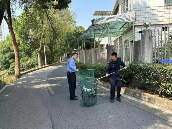 先锋街道联合先锋派出所开展“流浪狗专项整治周”行动