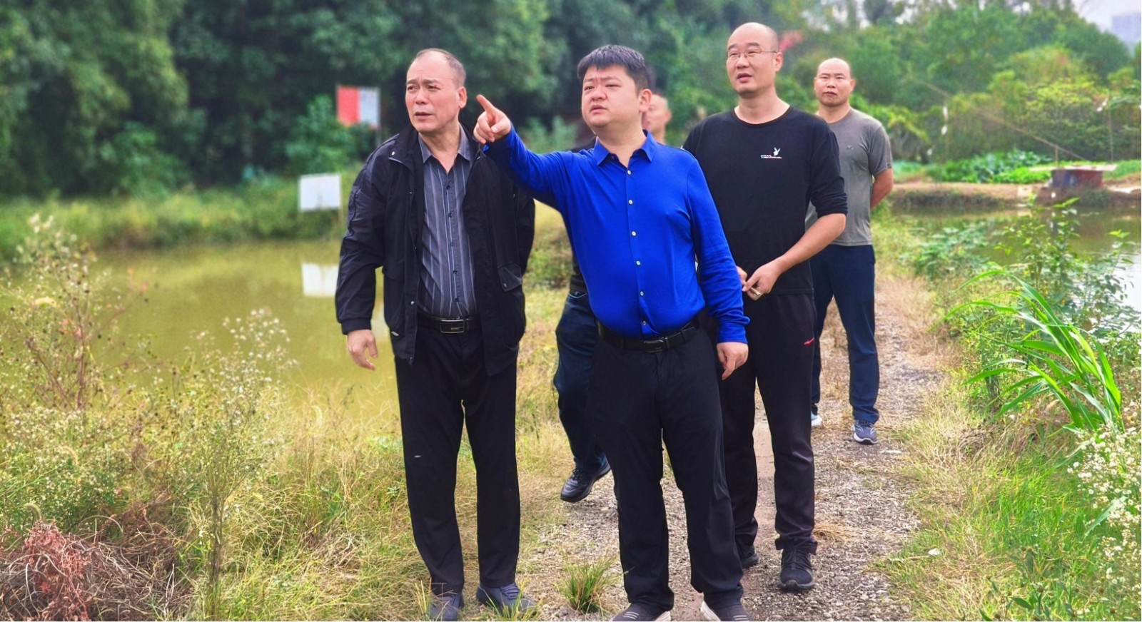 和平街道林长常态化开展巡林工作