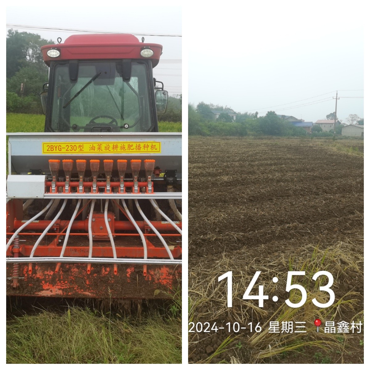 雨湖区农业农村局：扩大绿肥种植面积，助力化肥减量增效