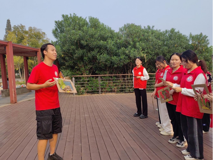 雨湖区志愿者协会：树叶贴画，展现湘江生态美