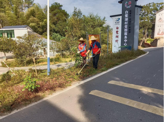 白鹭湖村：开展农村人居环境整治行动