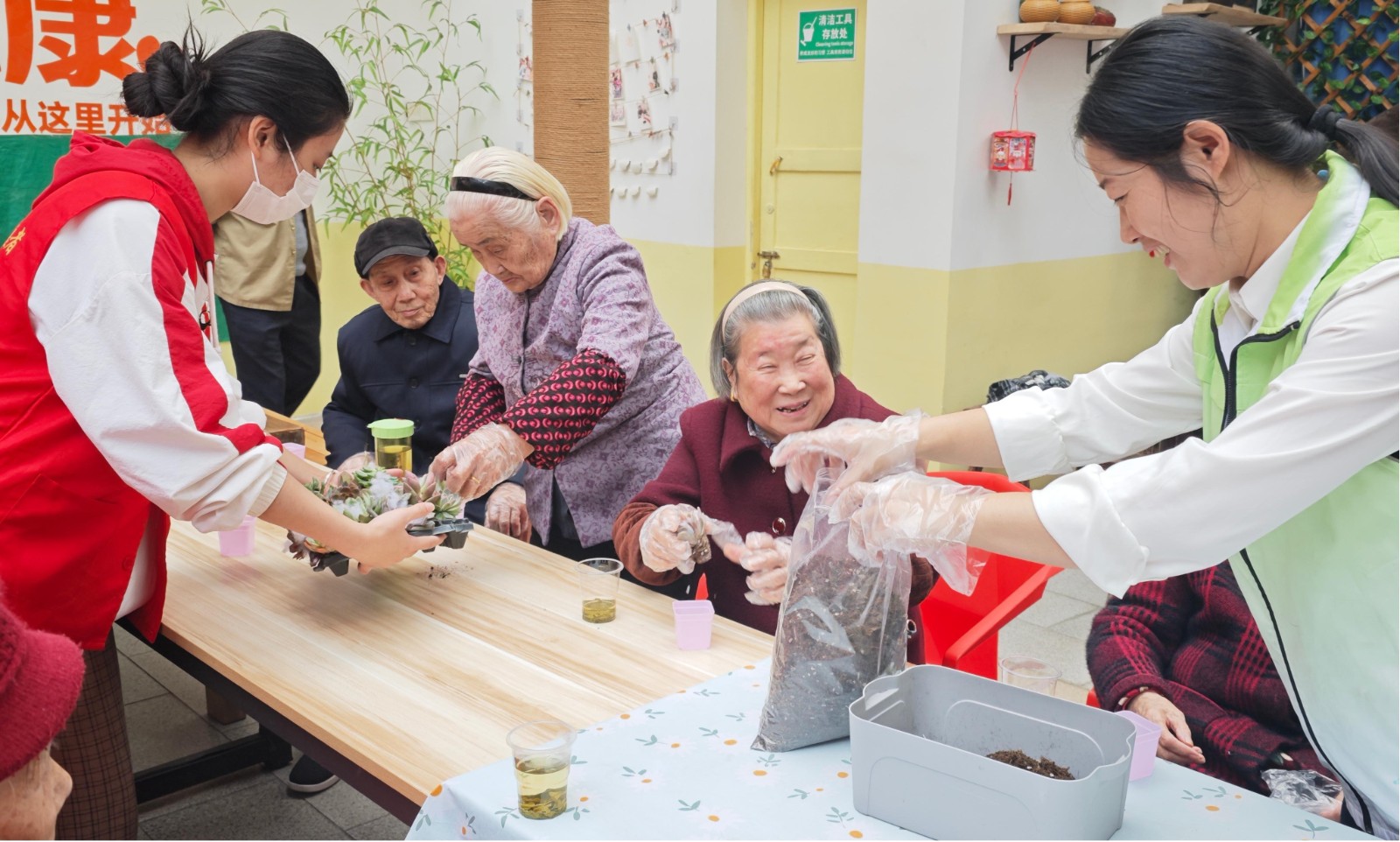 和平街道民政服务站：开展“湘当有爱 · 四季同行”三湘颐养“小小的绿色、大大的快乐”多肉园艺种植活动