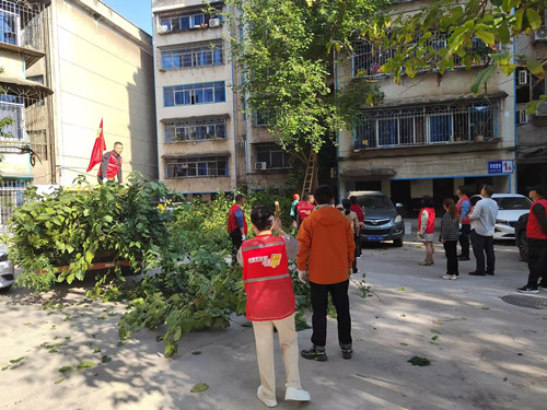 【我为群众办实事】许家铺社区：修枝伐树消隐患 为民办事解民忧
