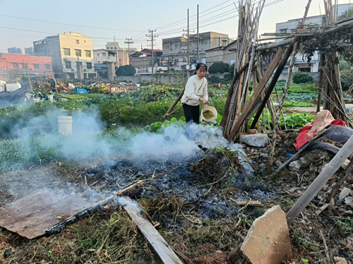 烟竹社区：“利剑行动”禁烧秸秆 生态环境稳提升