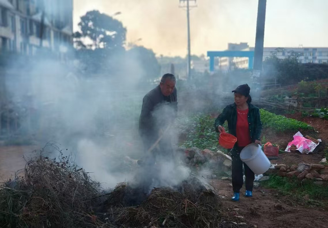 和平街道：加强联动守护绿水青山