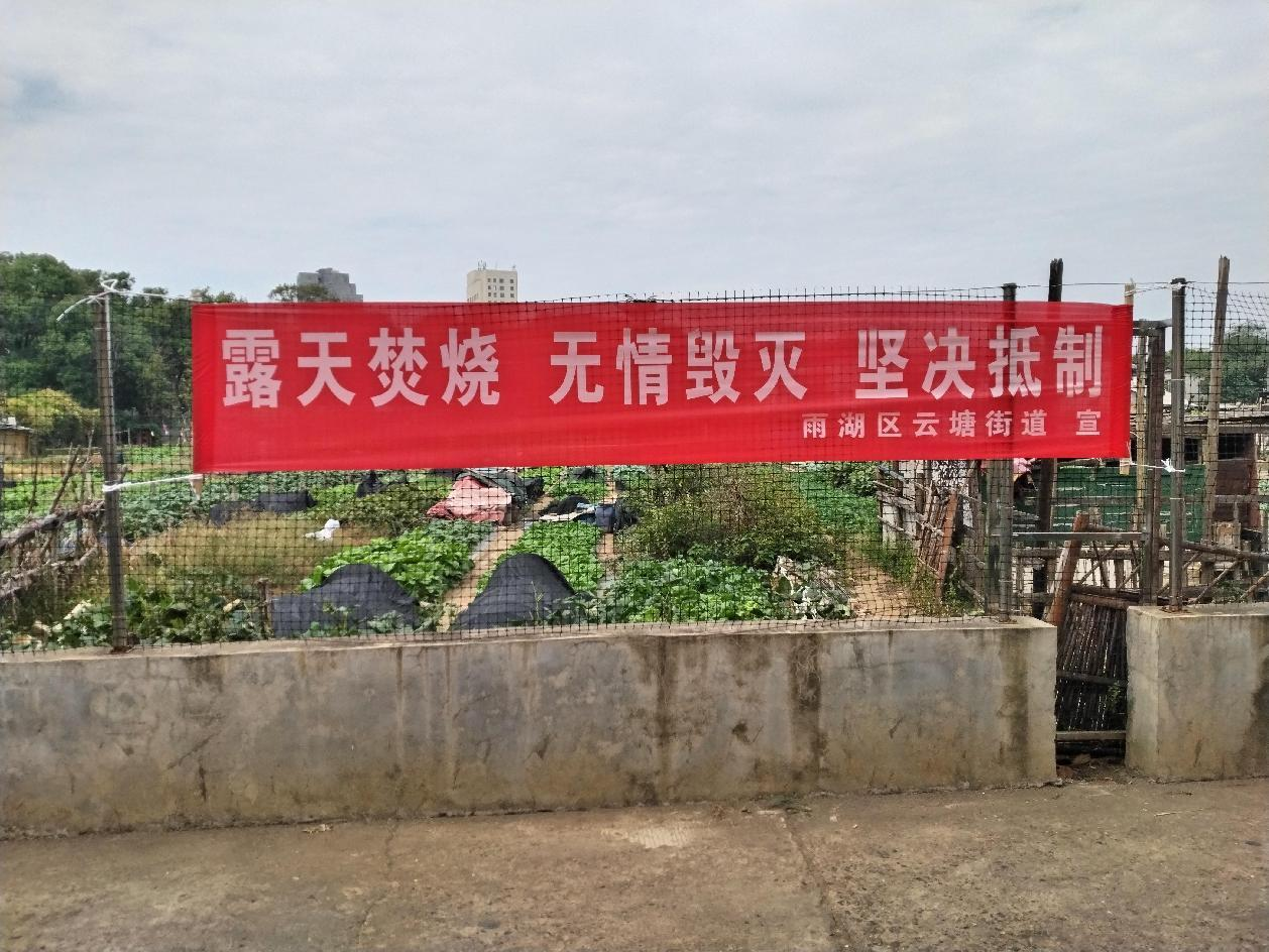 云塘街道：深入开展“利剑行动” 筑牢禁烧“防火墙”