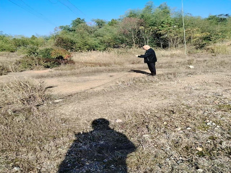 鹤岭镇：保护野生鸟类，拆除捕鸟网