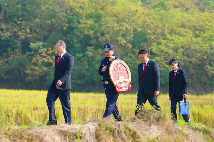 鹤岭人民法庭：调解妙招绘就止争“枫”景