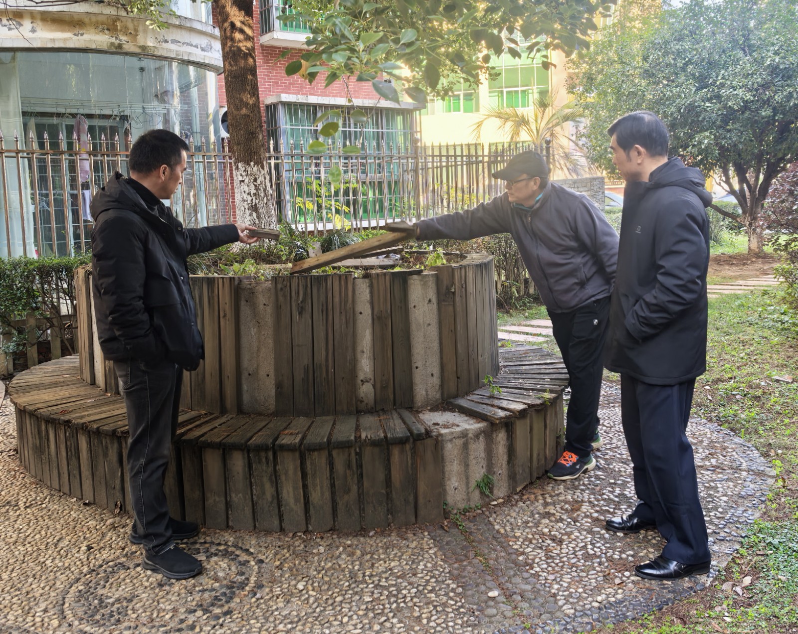 【我为群众办实事】三义井社区：外来树种撑破花坛，社区协调及时处置