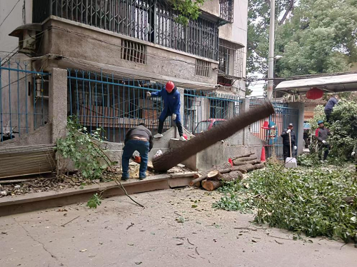 【八大行动】鲁班殿社区：积极备战雨雪极端天气，多措并举保障居民安全