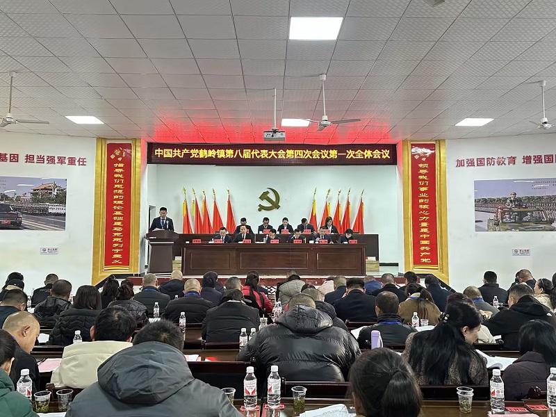 中国共产党鹤岭镇第八次代表大会第四次会议胜利召开