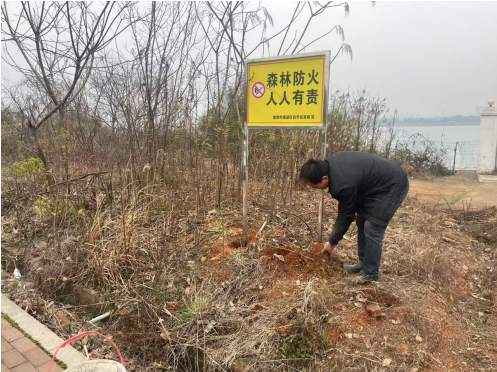 【平安雨湖】合山社区：多措并举开展森林防火宣传  筑牢安全“防火墙”