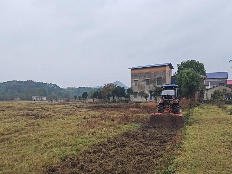 万象“耕”新，全力以“复”——鹤岭镇多措并举推进耕地保护工作，保障粮食安全生产