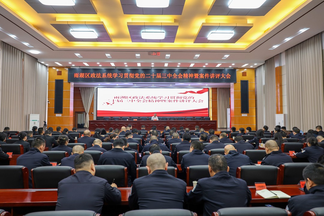 忠诚履职促发展，砥砺奋进护平安——2024年雨湖政法工作综述