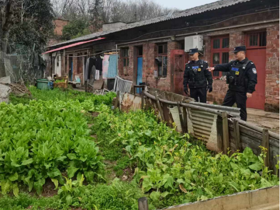 【平安雨湖】金塘社区：禁种铲毒齐发力 守护净土你我他