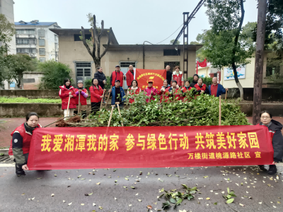 植此春绿，共赴春约，桃源路社区：人大议事小组共建美丽社区
