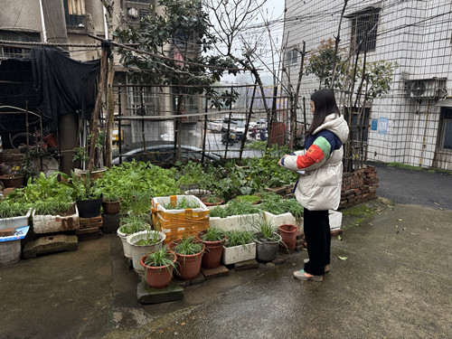 【平安雨湖】广园社区：开展“禁毒工作不停歇，禁种踏查不止步” 禁种踏查铲毒行动