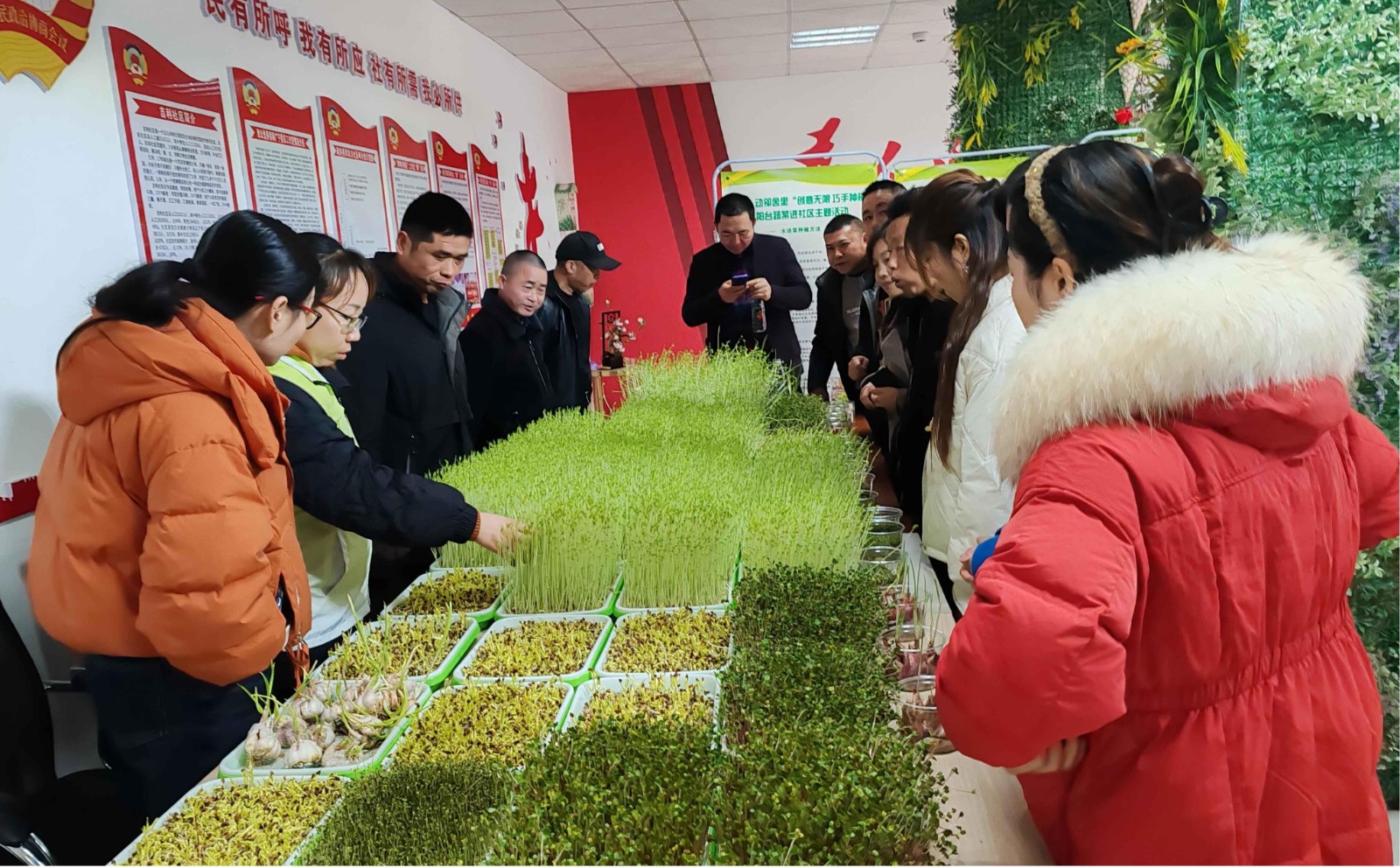 吉利社区：开展阳台水培菜种植活动 开启绿色生活新方式