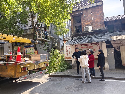 唐兴寺社区：立足监督解民忧 砍树修枝暖民心