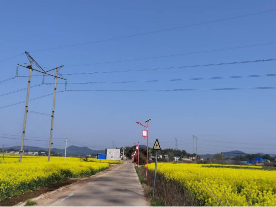 石龙村：邀您一起相约浪漫的春天