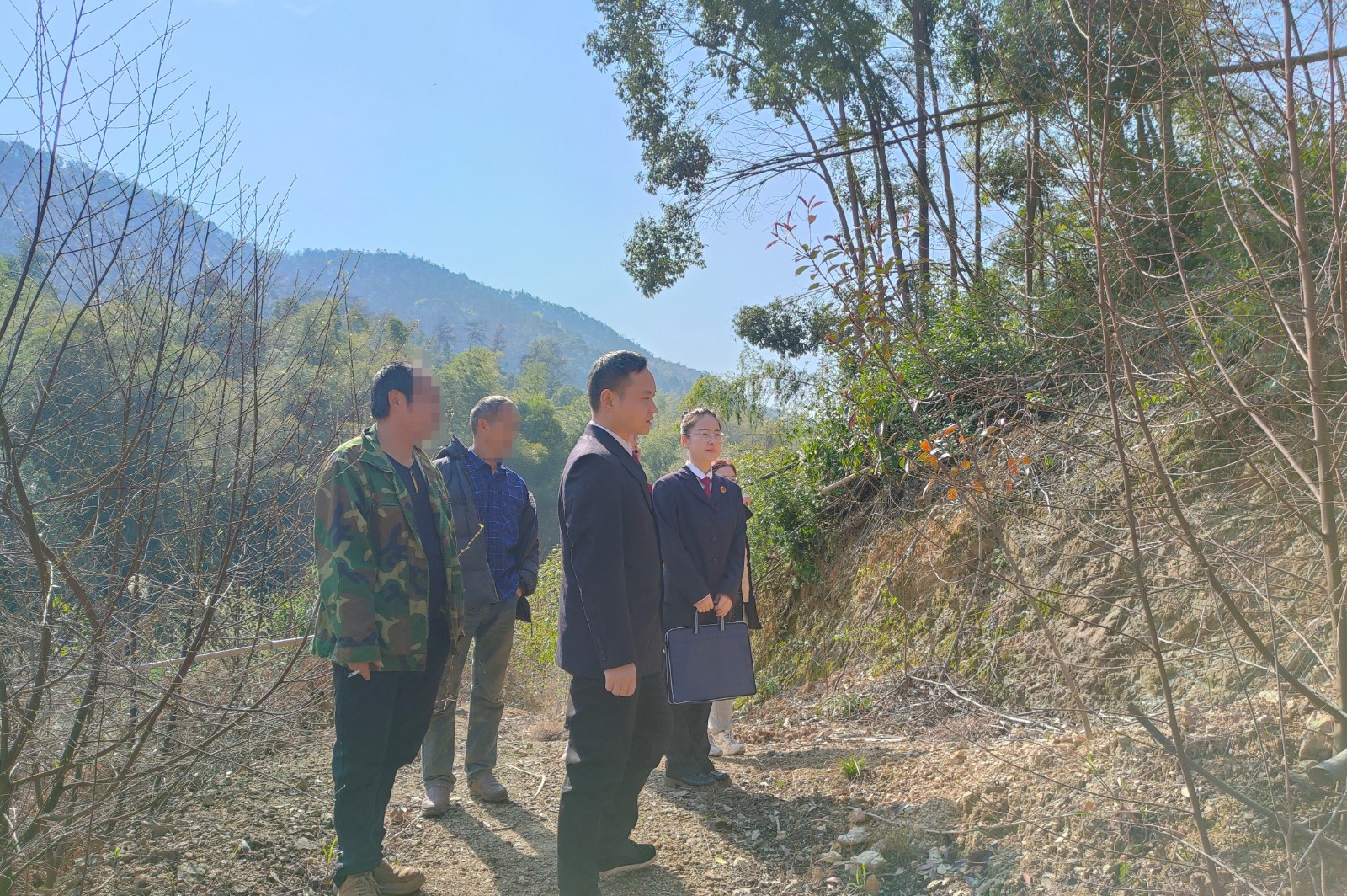 从“毁林”到“复绿”：雨湖检察以“行刑衔接+执行监督”护航生态修复