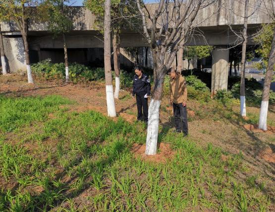 【平安雨湖】关圣殿社区全力开展禁毒铲毒行动，守护无毒家园