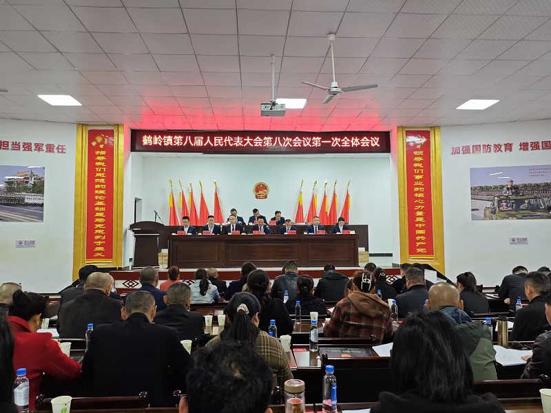 鹤岭镇召开第八届人民代表大会第八次会议