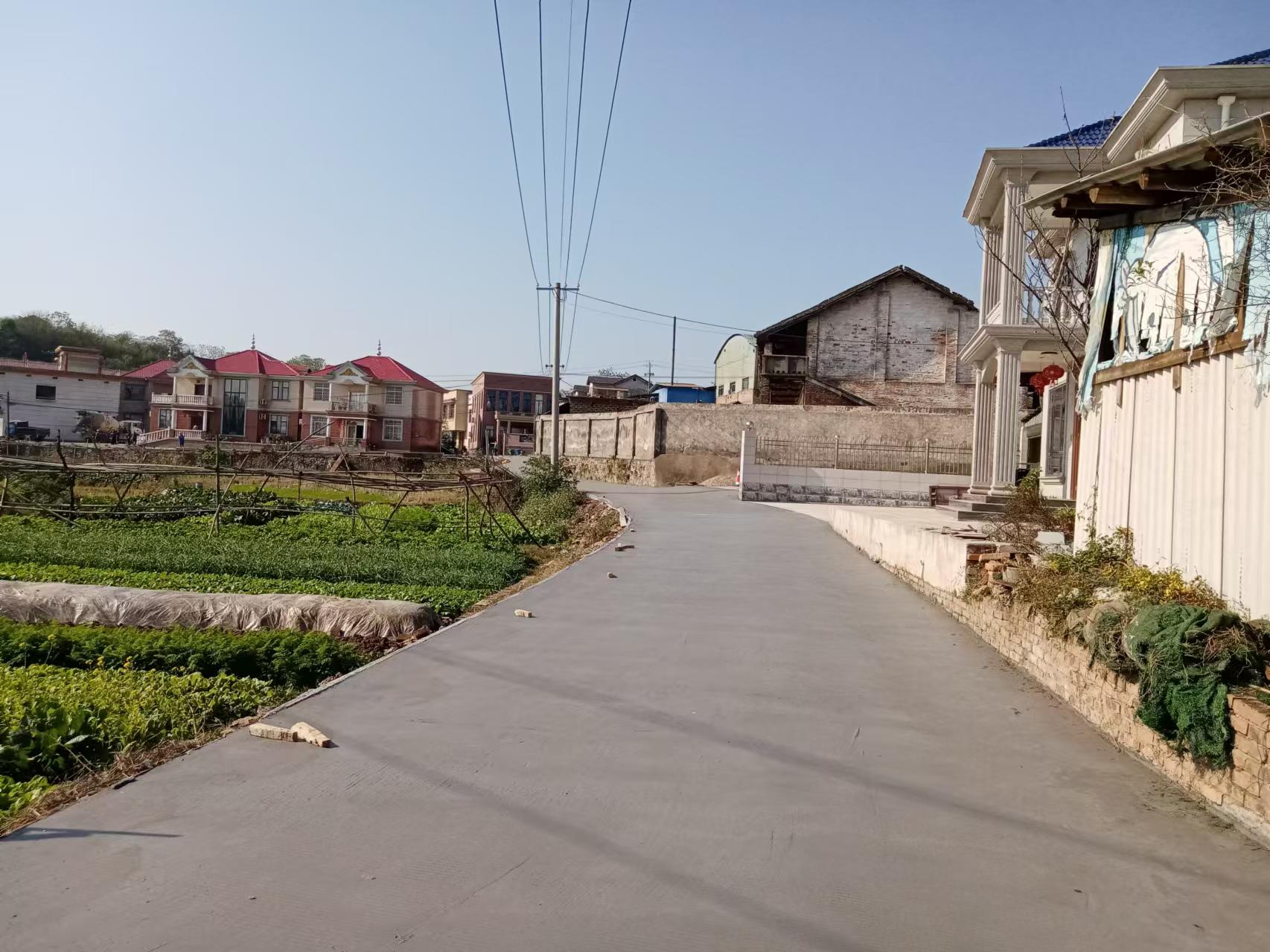 姜畲村：‌“小道路”书写“大文章”，乡村振兴路更宽