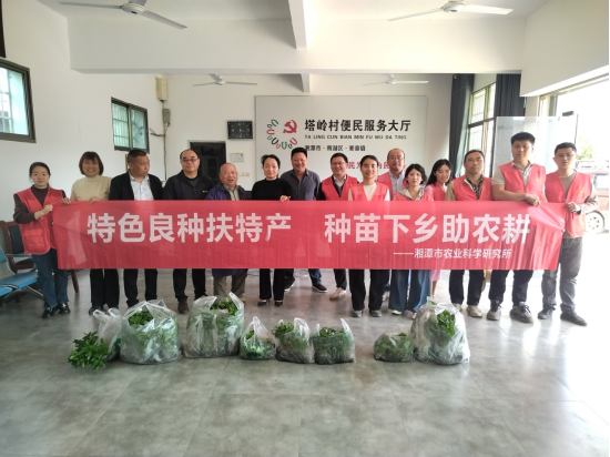 【乡村振兴】塔岭村：特色良种扶特产，种苗下乡助农耕