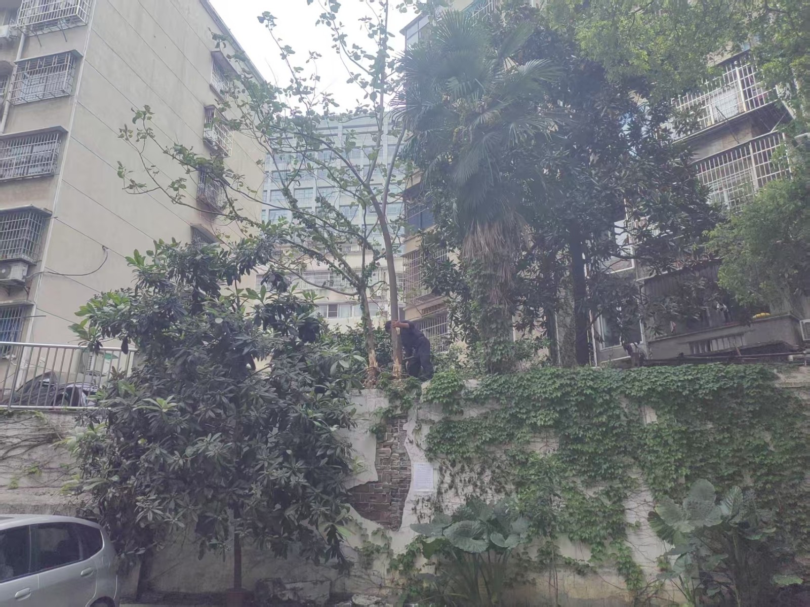 未雨绸缪，守护家园——雨湖路社区在行动
