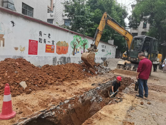 【我为群众办实事】杉树巷社区：党建领航纾民困，老旧小区换新颜